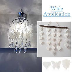 50 шт. 5 стиля кабошонов из натуральной ракушки с кружевной кромкой&nbsp;SHEL-TA0001-17