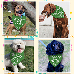 Хлопковый собачий платок AJEW-WH0503-041