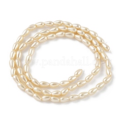 Полированные оболочки жемчужные бусины пряди BSHE-L042-A01-01