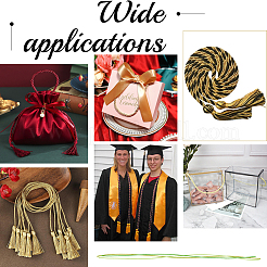 10м двухслойный витой шнур из акрилового волокна&nbsp;OCOR-CY0001-84C