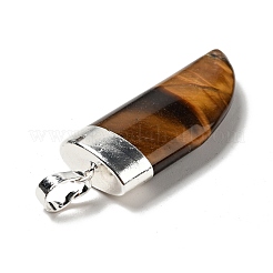 Природных тигровый глаз подвески G-P474-04S-05