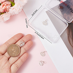 5 шт. 925 подвески из стерлингового серебра&nbsp;STER-BBC0001-53