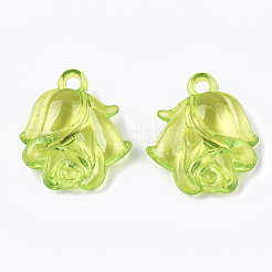 Прозрачные акриловые подвески&nbsp;TACR-S133-081