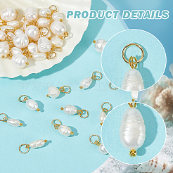 40шт 4 стиля подвески из натурального культивированного пресноводного жемчуга PALLOY-PH01713