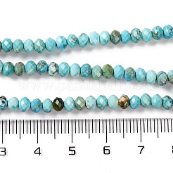 Природные Говлит бисер нитей&nbsp;G-H025-03C-01