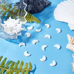 80 шт. бусины из натурального пресноводного жемчуга SHEL-HY0001-16