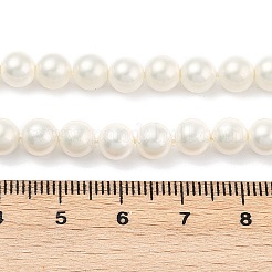 Круглые раковины жемчуг нити BSHE-XCP0001-40B