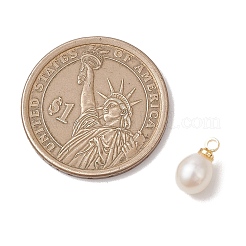 Натуральные пресноводные жемчужные рисовые амулеты&nbsp;PALLOY-JF04858-01