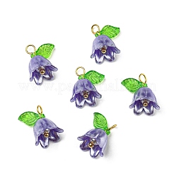 Акриловые подвески&nbsp;LS-OACR-D012-01B