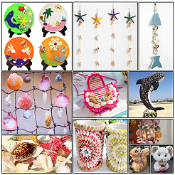 Наборы бусин из натуральных морских ракушек SSHEL-PH0002-49