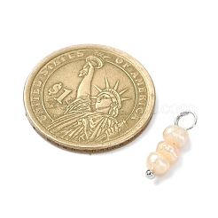 6шт 2 стиля подвески из натурального культивированного пресноводного жемчуга PALLOY-JF02265-02