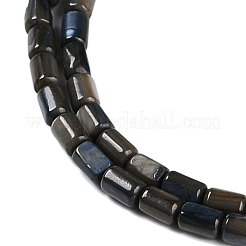 Нити бусин из натуральных пресноводных ракушек BSHE-H109-17E