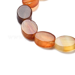 Нити бусин из натурального окрашенного и нагретого красного агата&nbsp;G-P559-B01-01