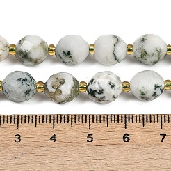 Натурального дерева агат бисер нитей G-N342-149I-09