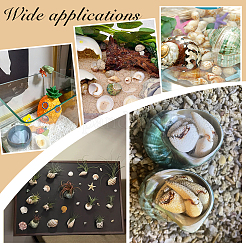 4шт натуральная оболочка FIND-PH0027-49