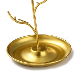 Подставка для железных ювелирных изделий с подносом ODIS-K003-05G