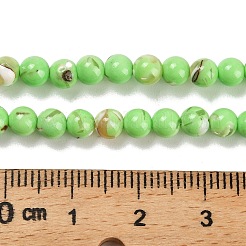 Собранные нити бусин из синтетического камня и ракушек трохус&nbsp;G-B128-08A-07