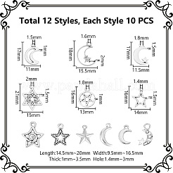 120шт 12 стиля подвески из сплава в тибетском стиле&nbsp;TIBEP-UN0001-21