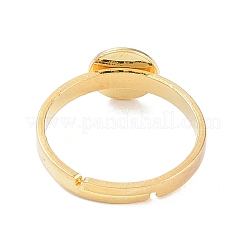 Регулируемые кольцевые компоненты из нержавеющей стали 304&nbsp;LS-STAS-Z064-06G-02