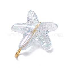 Прозрачные акриловые подвески PALLOY-JF03994-02