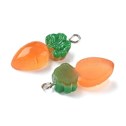 Подвески из непрозрачной смолы&nbsp;LS-RESI-Z040-05P