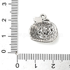 Тибетский стиль сплава цинка подвески&nbsp;LS-X-TIBEP-R334-072AS-RS