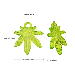 Прозрачные акриловые подвески&nbsp;PL711Y