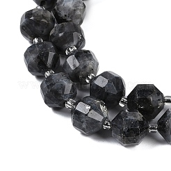 Натуральные нити бус из ларвикита G-O201B-139G