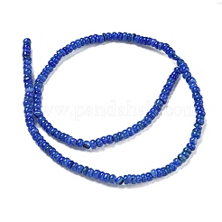 Окрашенные нити бусин из натуральных пресноводных ракушек X1-BSHE-G039-07J