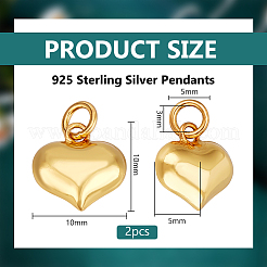 2 шт. 925 подвески из стерлингового серебра STER-BC0002-83B-G