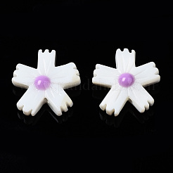 Бусины из натуральных пресноводных ракушек SHEL-N003-19E