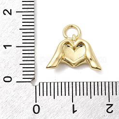 Латунь эмаль подвески&nbsp;KK-P338-24G-03