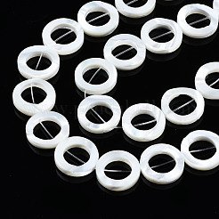 Ракушка трохуса натуральная / ракушка трохуса бусины обрамление нити SSHEL-S266-027