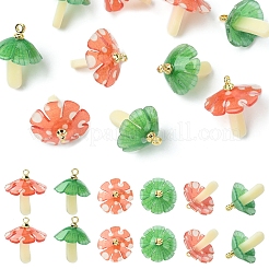 10шт 2 цвета пластиковые подвески KY-FS0001-32