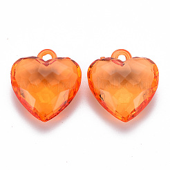 Прозрачные акриловые подвески&nbsp;TACR-T024-03B-921