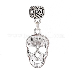 Европейские подвески из сплава в тибетском стиле PALLOY-H170-07AS