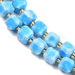 Природные Говлит бисер нитей G-C025-01B