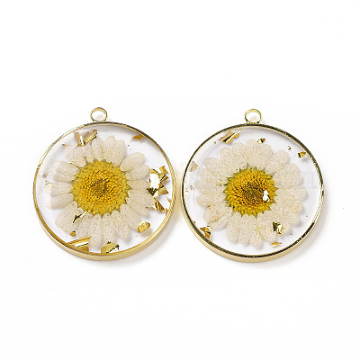 Подвески из прозрачной эпоксидной смолы RESI-L036-12G-08-1