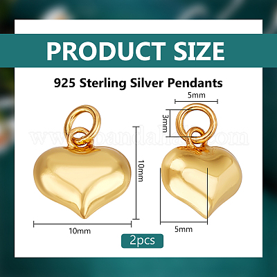 2 шт. 925 подвески из стерлингового серебра STER-BC0002-83B-G-1