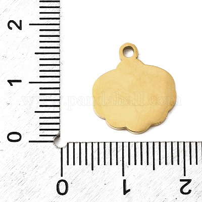 Подвески из нержавеющей стали 304 с эмалью STAS-I336-05G-02-1