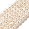Natural Cultured Freshwater Pearl Beads Strands, Two Sides Polished, Grade 3A, PapayaWhip, 7~7.5x7~7.5x6~7mm, Hole: 0.5mm, about 49pcs/strand, 12.80~12.99 inch(32.5~33cm)