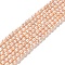 Natural Cultured Freshwater Pearl Beads Strands, Rice, Grade A+, PeachPuff, 3~3.5x4.5~5.5mm, Hole: 0.5mm, about 70~71pcs/strand, 13.78''(35cm)