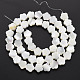 Нити бусин из натуральных трохоидных/трохус ракушек SSHEL-T014-43B-02-3