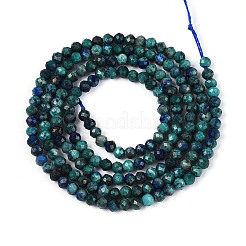 Натуральные бусы из хризоколлы и лазурита G-T143-15