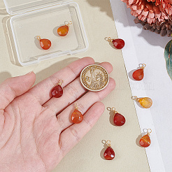 24 шт. подвески из натурального окрашенного красного агата&nbsp;PALLOY-GA00017