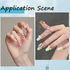 10 рулон липкой ленты для животных&nbsp;AJEW-WH20020-246A-26