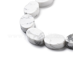 Природные Говлит бисер нитей G-P559-B05-01