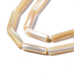 Нити бусин из натуральных трохоидных/трохус ракушек SSHEL-S266-020B-03