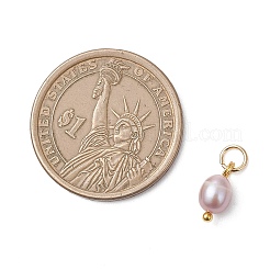 Натуральные культивированные пресноводные жемчужные рисовые подвески&nbsp;PALLOY-JF04841