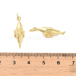 Латунные подвески&nbsp;KK-C144-01G